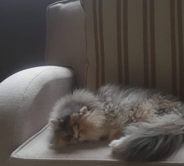 Bella