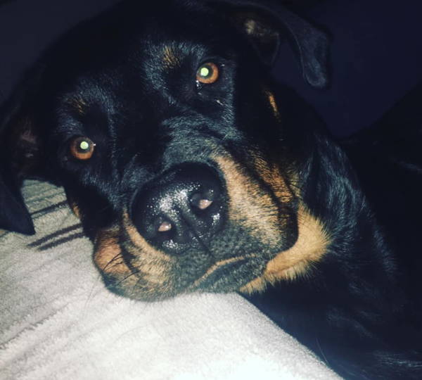 Luna