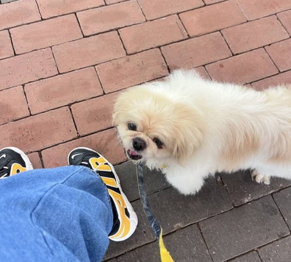 Romeo