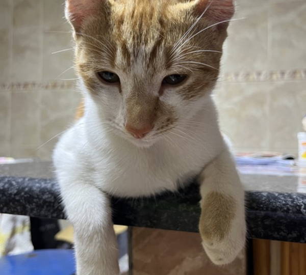 August