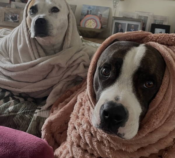 Max & Hope