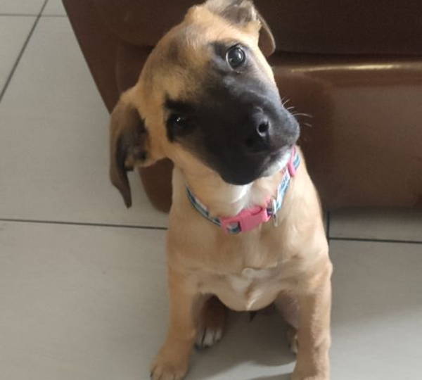Xena