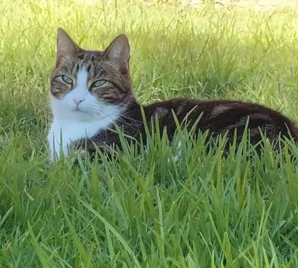 Chloe