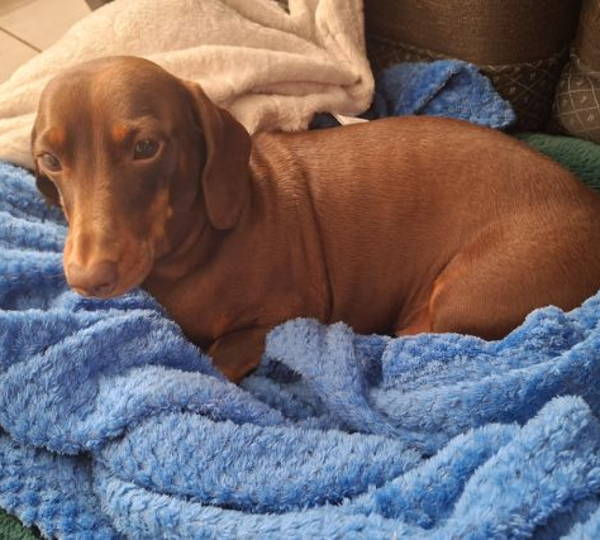 Rusty