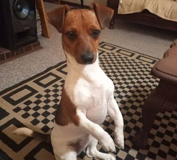 Sputnik