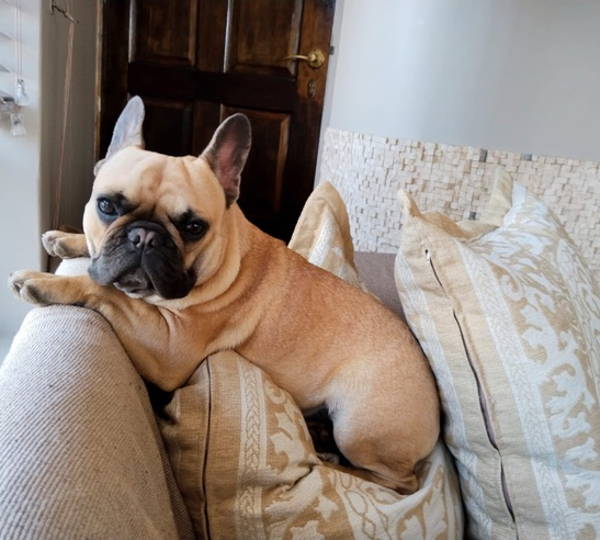 Peanut