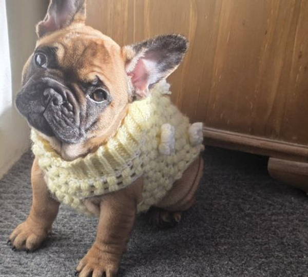 Daisy-Rú