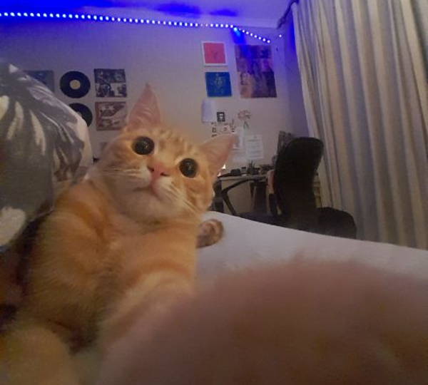 Remy