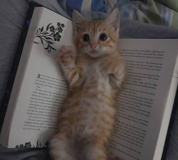 Remy