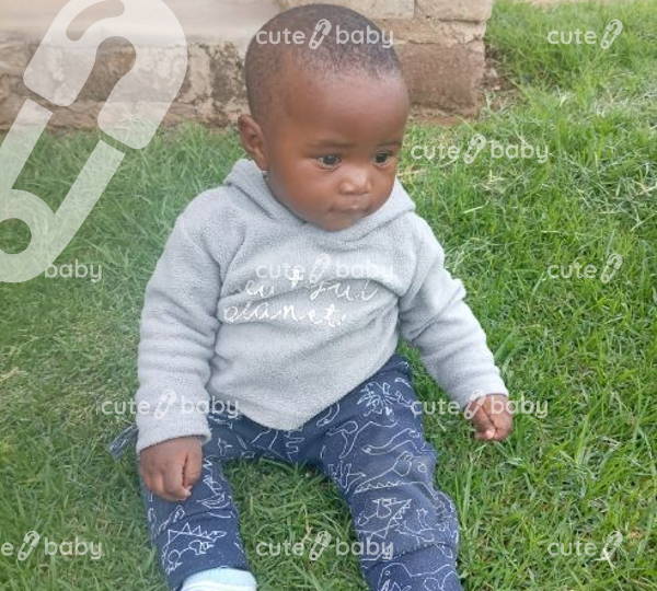Sanele