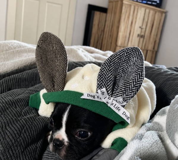 Bo