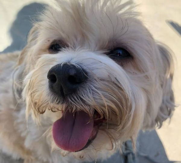 Roxy