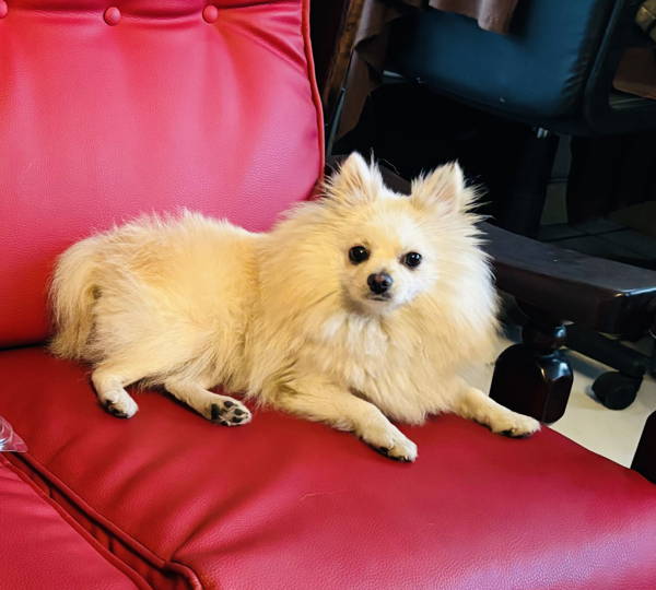 Bella