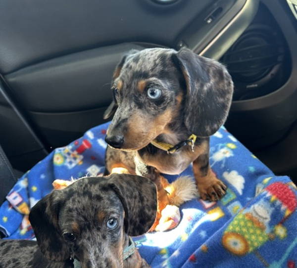 Bentley & Baily
