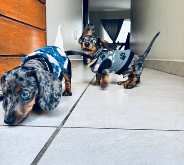 Bentley & Baily