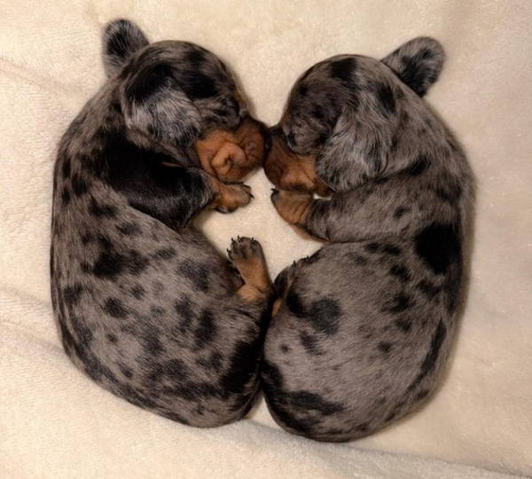 Bentley & Baily