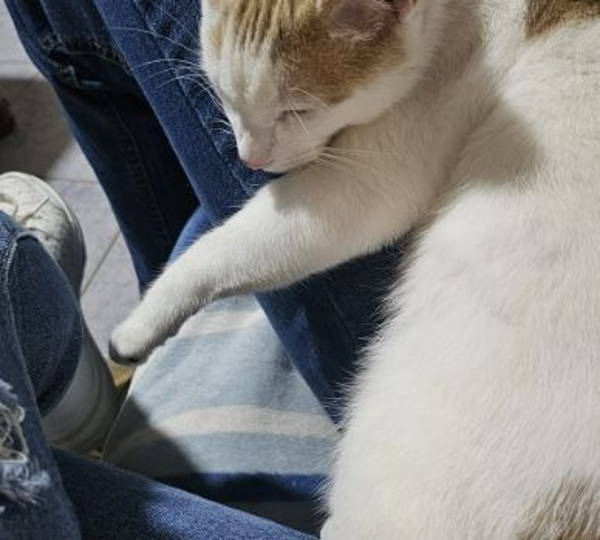 Elroy