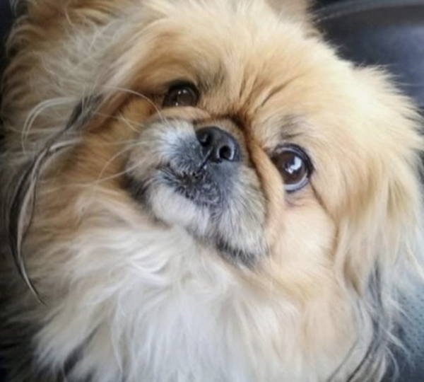 Zoey