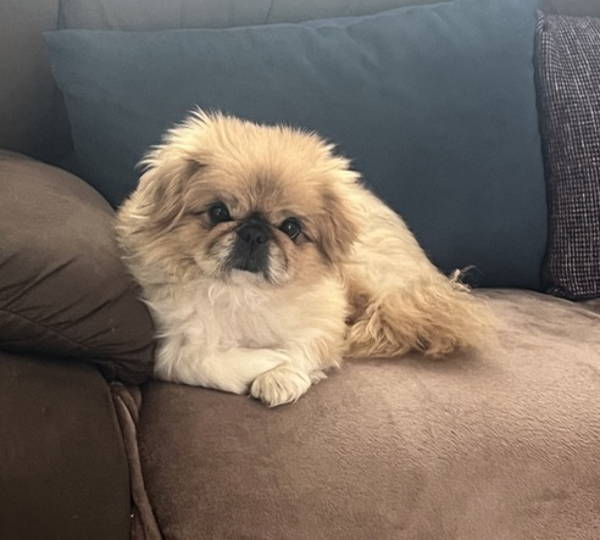 Zoey