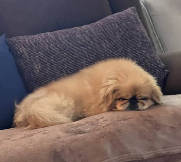 Zoey