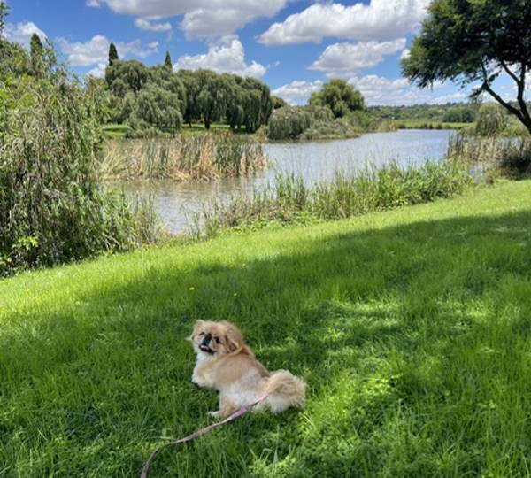 Zoey