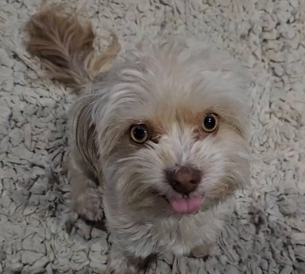 Bella