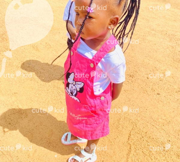 Tshireletso