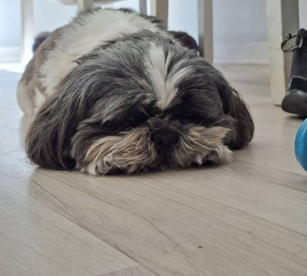 Luna