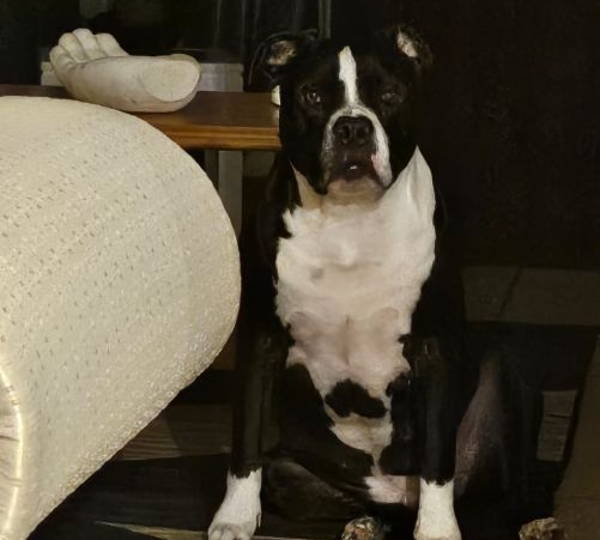 Duke