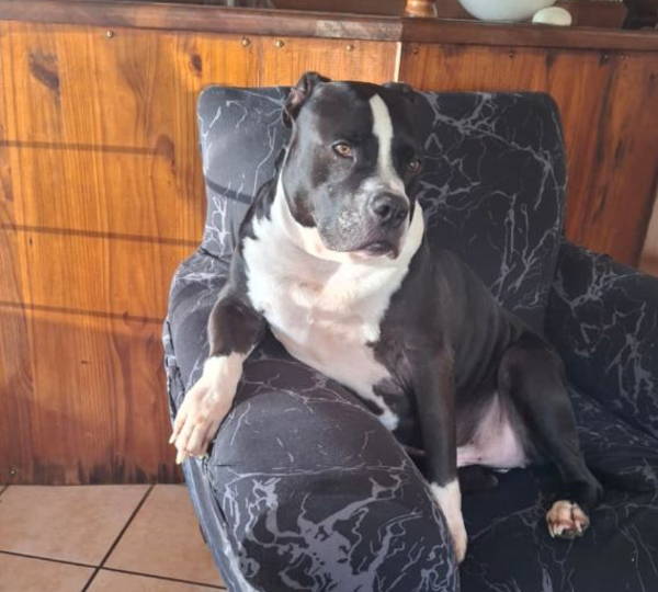Duke