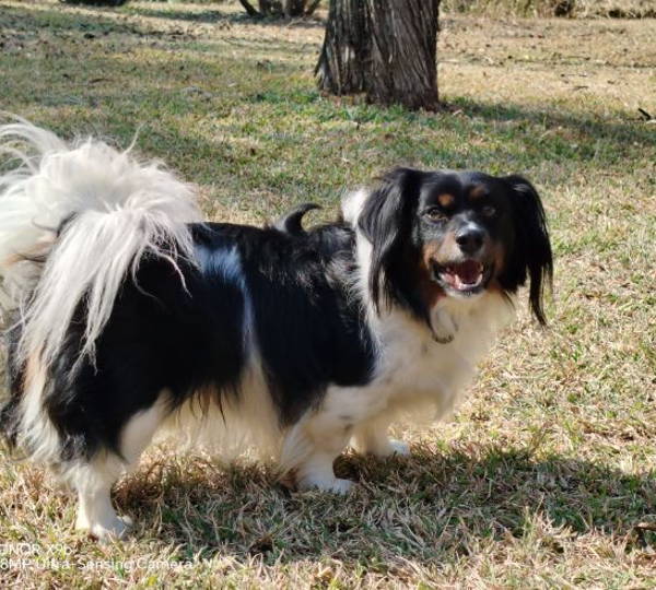 Duke