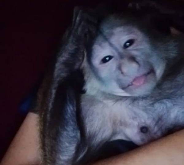 Theodore