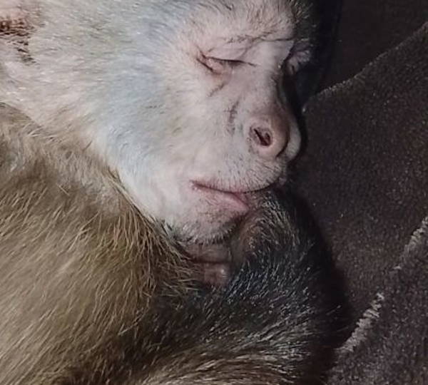Theodore