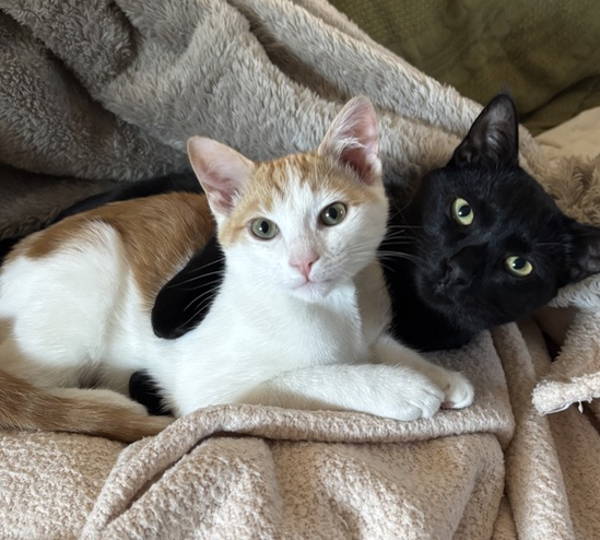 Nala & Wortel
