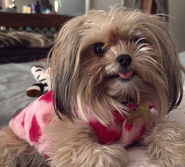 Luna