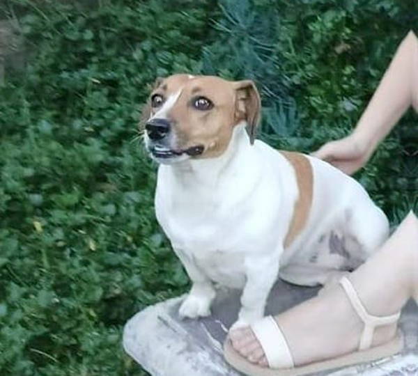 Tikwa