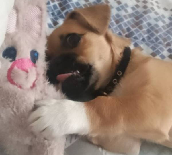 Chloe