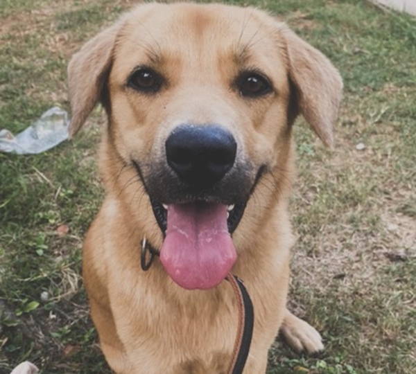 Skye