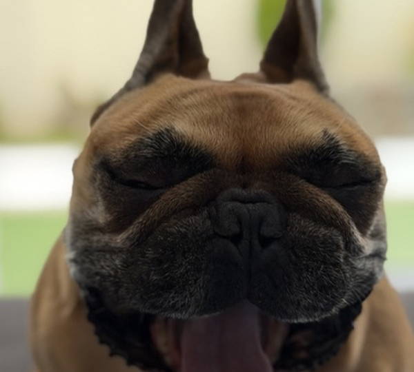 Oscar