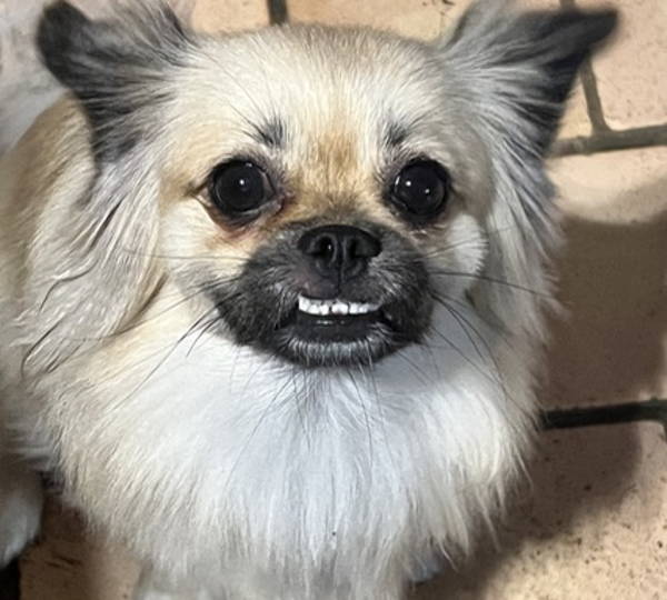 Mia