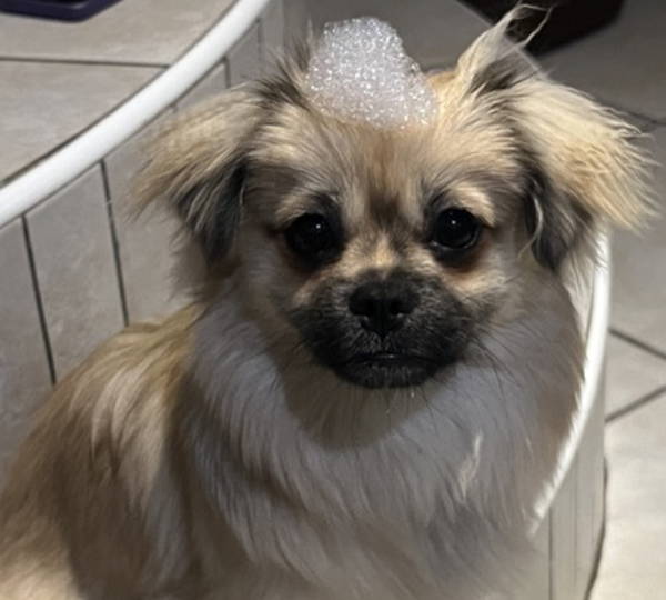 Mia