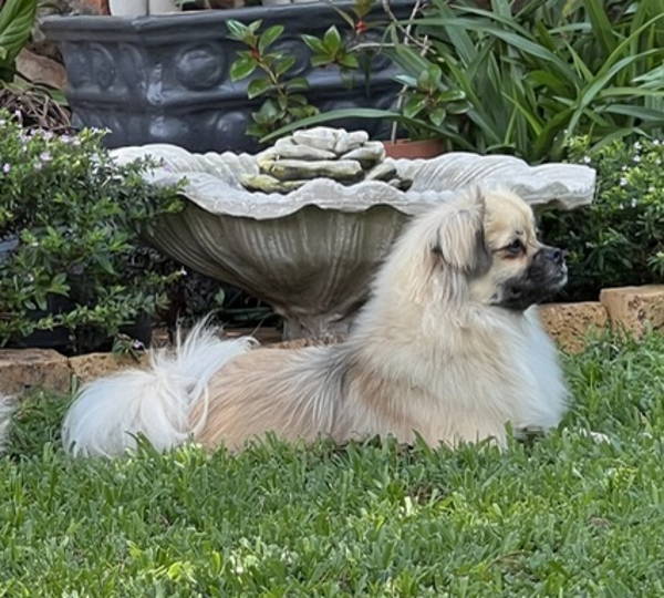 Mia