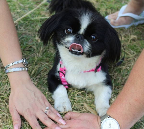 Roxy
