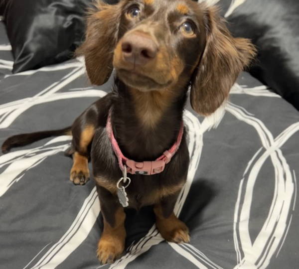 Kiara