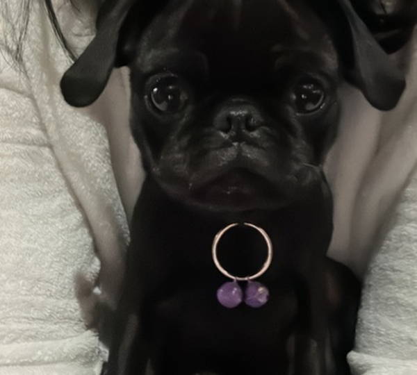 Chloe