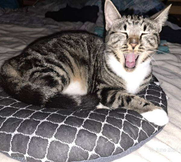 Mia