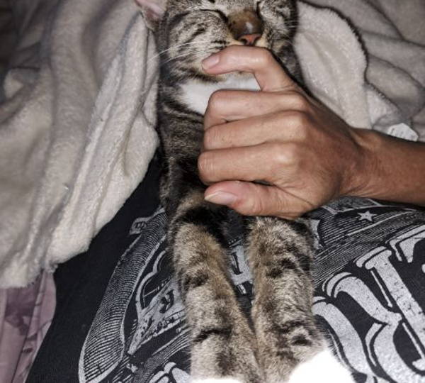 Mia