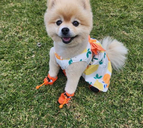 Fluffy
