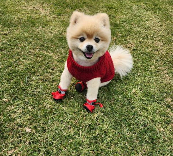 Fluffy