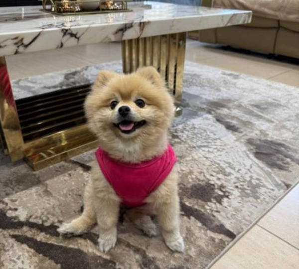 Fluffy